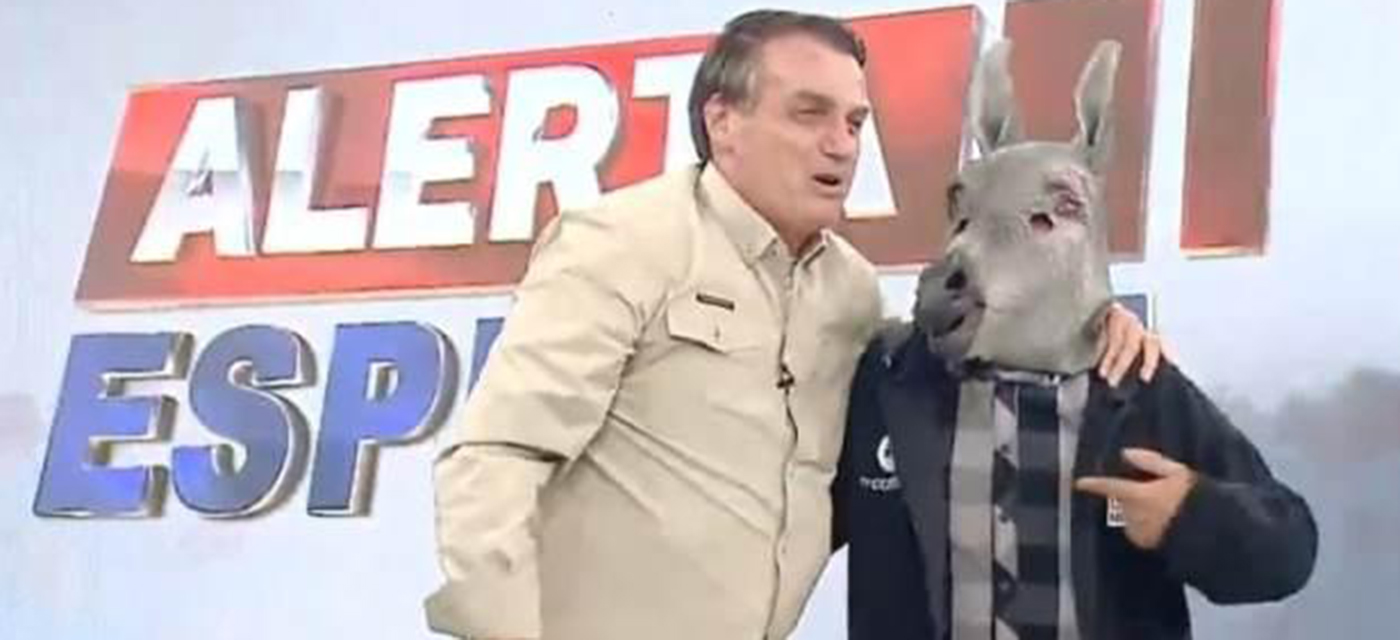 Burro Bolsonaro Burro do Shrek + Bolsonaro - Burronaro - Escorrega o Preço