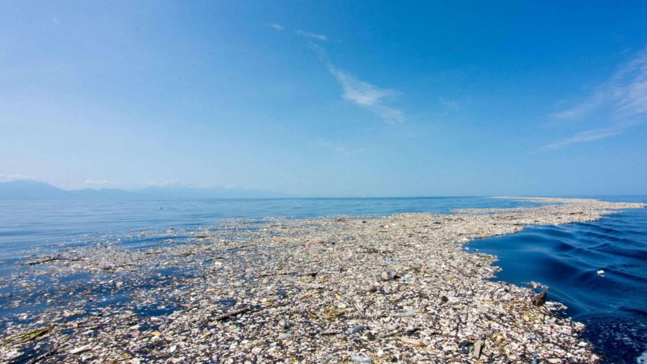 Espécies Costeiras São Achadas Em ‘ilha De Lixo Plástico No Meio Do Oceano Bem Blogado 5826